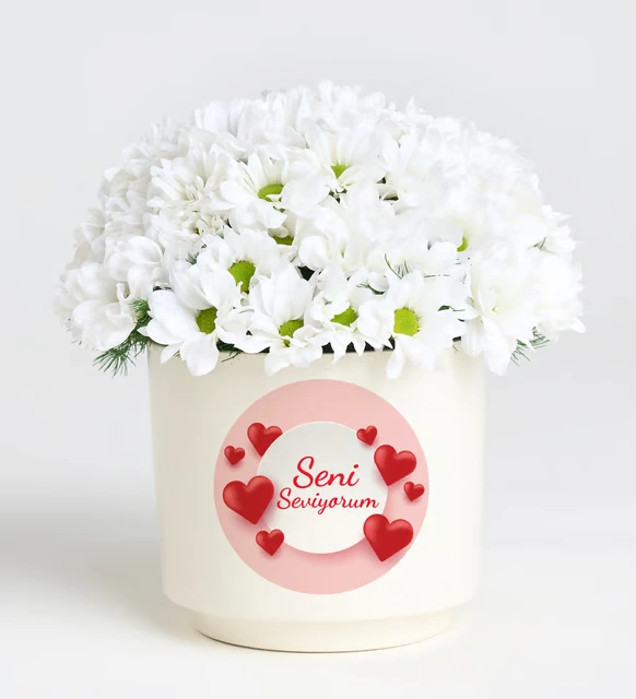 Kırmızı Gül Buketi